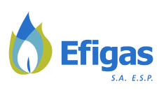Efigas S.A. | Conalsol